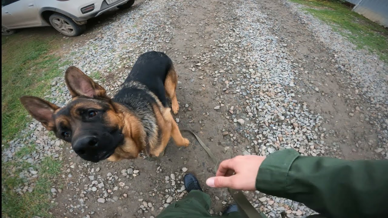 1. Вкусные лакомства