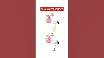 Find 3 Differences #45