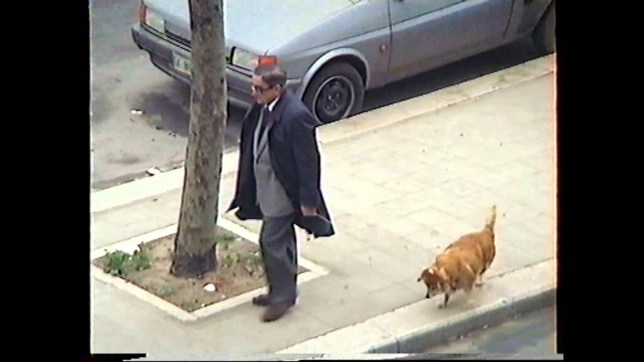 Il cane zoppo di Japigia vissuto nell'anno 1978 YouTube
