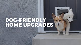 Our dog-friendly home upgrade // DIY doggy door! by emwng 3,928 views 3 years ago 6 minutes, 22 seconds