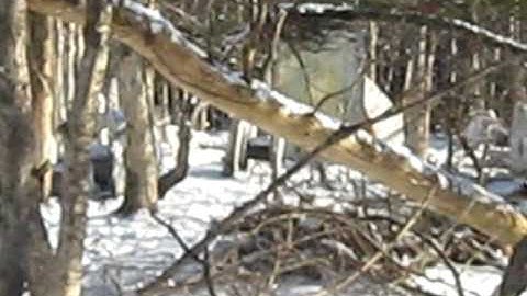 Behind Enemy Lines Game 2