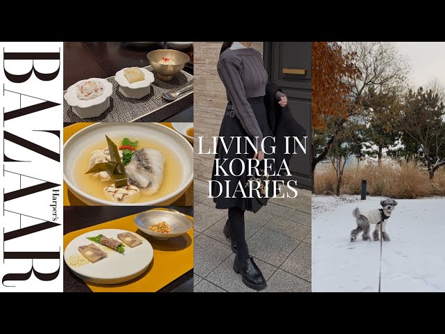 韓国VLOG】初の韓国宮廷料理！『チャングムの誓い』飲食監督が手掛ける