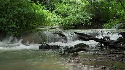 Terapia do som para zumbido - 12 horas sonora para relaxar e dormir.