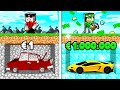 DA POVERO A MILIONARIO SCAVANDO AUTO su MINECRAFT!