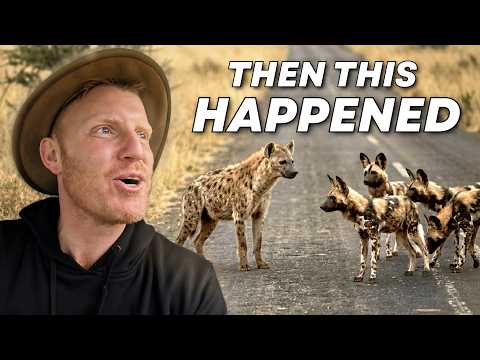 Why This Kruger Safari Was Absolutely Insane