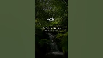 سورة الروم _ فَسُبْحَنَ الَلِه ☘️