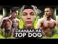 Разбор скандала на Top Dog / Такие кулачные бои делают калеками!!!