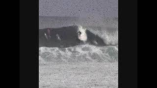 Slightly Stoopid - 2am (Blazed n Confused Remix feat. Bradley Nowell & Snoop Dogg)