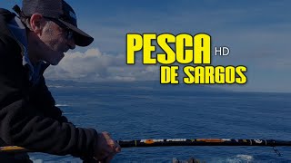 Pesca de Sargos, José Silva, Carlos Silva  2023 na Ilha de São Miguel Açores 1080Pp full