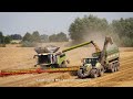 Claas Lexion 8900 - Hawe - + / Getreideernte - Grain Harvest 2020  pt.3