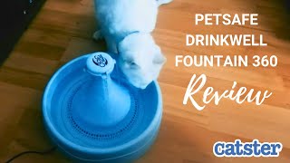 PetSafe Drinkwell Fountain 360 Review