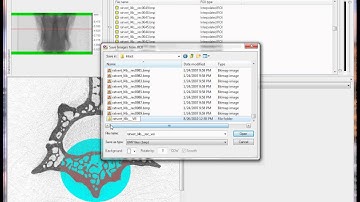 Bruker microCT training video: setting VOIs for rodent vertebra