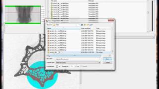 Bruker microCT training video: setting VOIs for rodent vertebra
