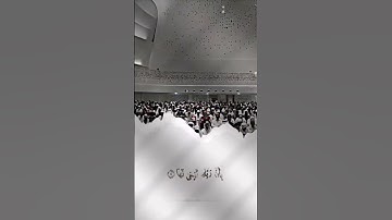 سورة الزلزلة بصوت القارئ/هيثم الدخين #هيثم_الدخين #قرآن #تلاوة_خاشعة #لاإله_إلا_الله #viral