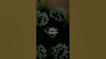 { وٱلذین لا یشۡهدون ٱلزور وإذا مروا۟ بٱللغۡو مروا۟ كرامࣰا }سورة الفرقان طارق محمد