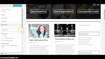 Flymag: Blog layout&options