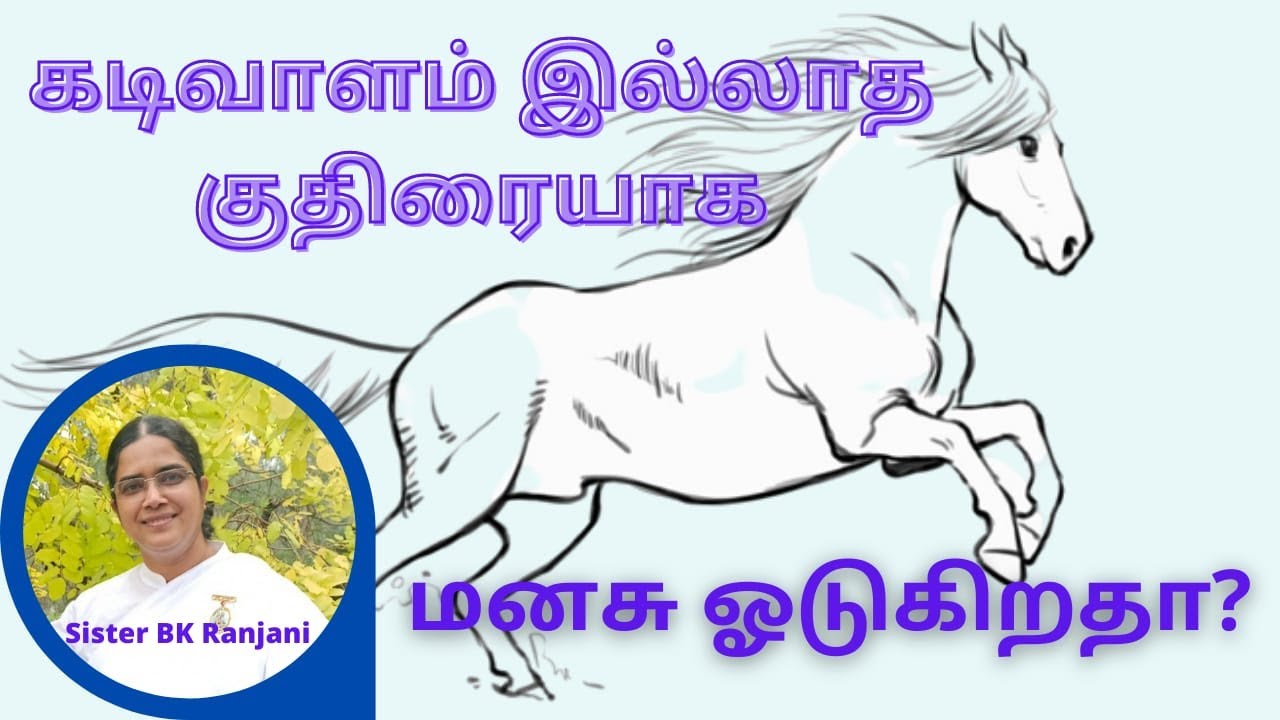 கடிவாளம் இல்லாத குதிரை மாதிரி மனசு ஓடுகிறதா?-Sister BK Ranjani | Controlling the Racing thoughts