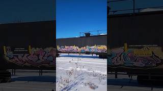 Train Vandals 🚂💥 🟥 🟩 🎶 TRK 🔥👀