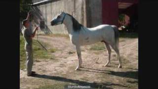 Los Torneros del Norte de Santiago Papasquiaro. El Moro de Tepehuanes.wmv