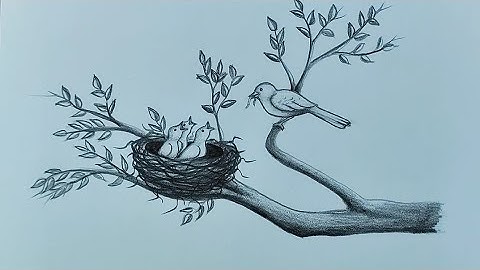 How to draw bird nest with baby birds//Bird nest drawing and sketching
