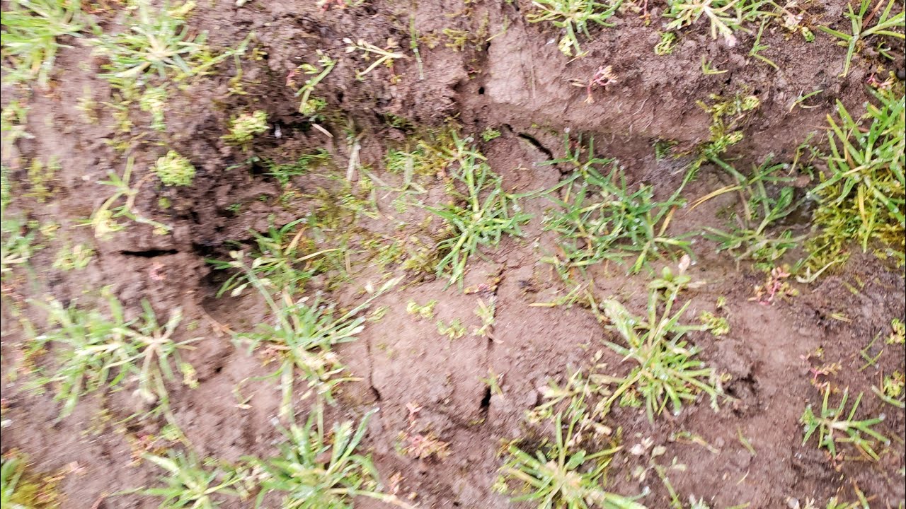 12.14.19 - Track Makers Play on the Shoreline