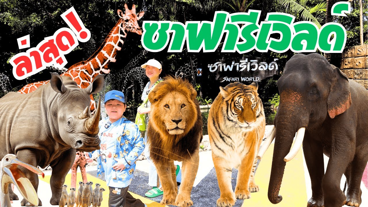 ล่าสุด! ซาฟารีเวิลด์ ซาฟารีปาร์ค | มารีนปาร์ค  | Safari World  สวนสัตว์ในกรุงเทพ 2025 ไปดูกันเถอะ