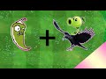 Plants vs Zombies Fusion Hack Animation ( Green Jalapeno + Crow Peashooter )