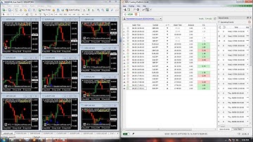ZeusArrow Premium Auto Trader Live MT2 Trading