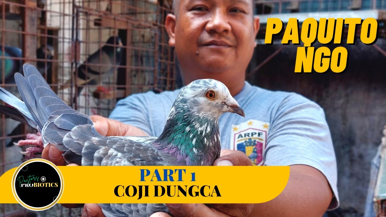 Loft visit kay Coji ng Apalit Pampanga!