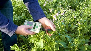 CL-01 Chlorophyll Content Meter | Hansatech Instruments Ltd