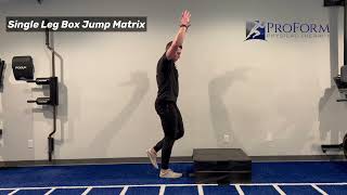 Single Leg Box Jump Matrix