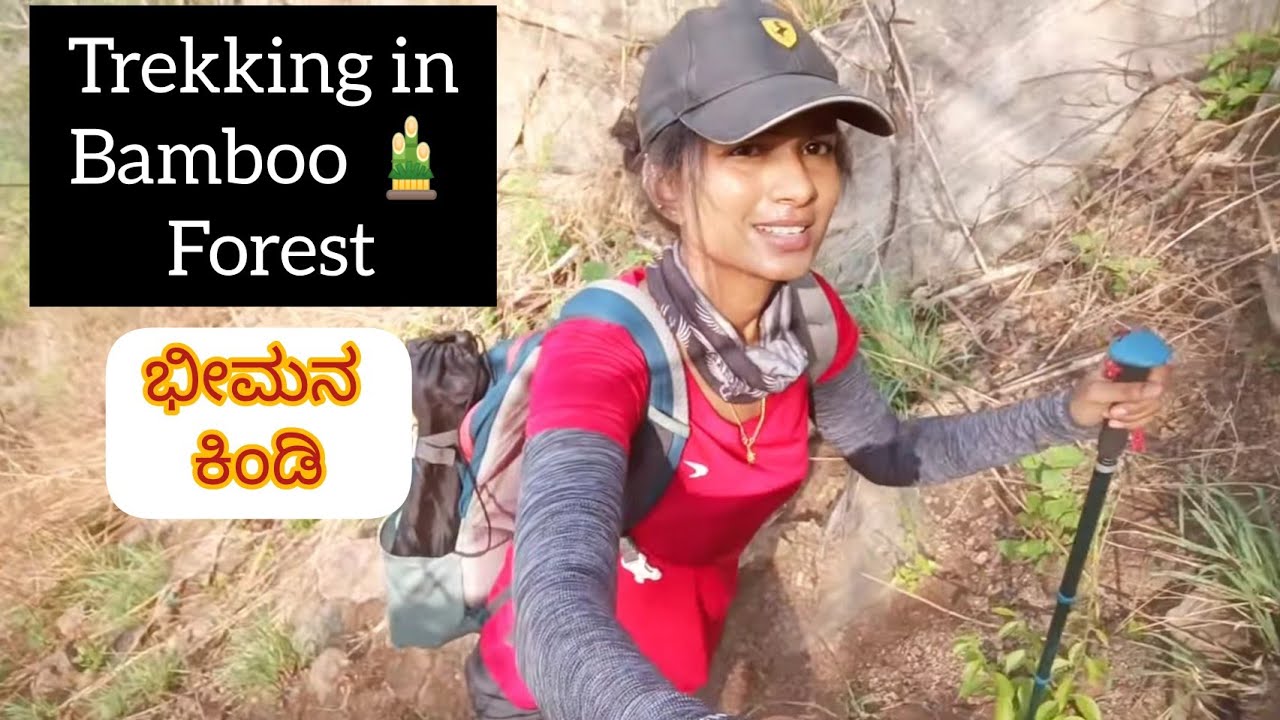 Bheemana Kindi| Trekking in Bamboo 🎍 Forest|ಭೀಮನ ಕಿಂಡಿ| Kanakapura