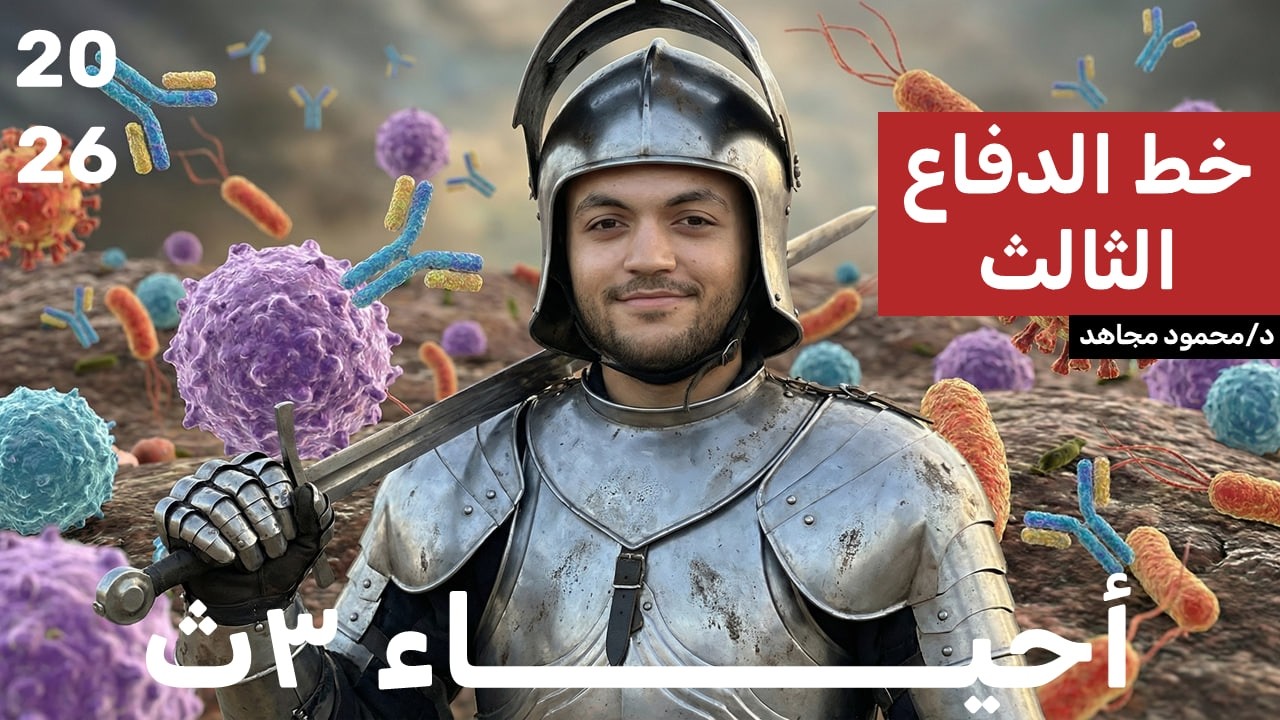 راجع معايا خط الدفاع الثالث