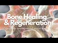 тЭЙ Bone Healing Regeneration Powerful Rife Frequencies Relaxing Water And Nature Sounds тЭЙ Bone Healing Regeneration Powerful Rife Frequencies Relaxing Water And Nature Sounds