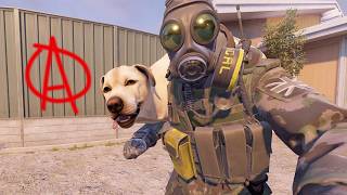 Valve Finally Added Pets to CS2 screenshot 1