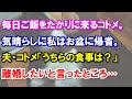 【スカッと】毎日ご飯をたかりに来るコトメ。気晴らしに私はお盆に帰省。夫・コトメ「うちらの食事は？」離婚したいと言ったところ…