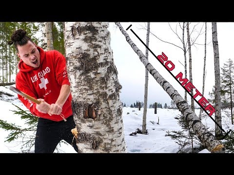 Video: Tui (36 Foto's): Hoe Een Boom Laten Groeien? Kenmerken Van De Zorg Voor Een Sierplant. Hoe Thuja In De Oeral Te Kweken? Hoe Ziet Angiosperm Thuja Eruit?