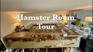 Updated Hamster Room Tour