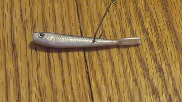 How To Hook A Minnow Without Killing It