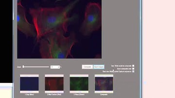 INFINITY ANALYZE 6.5.0 Multispectral Capture Wizard (Mono)