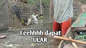 Air danau tempe meluap, Rejeki Dapat Ikan Nila....| Part. 07