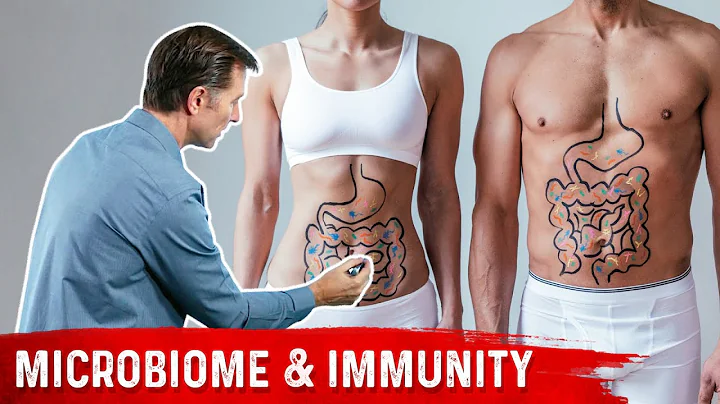 Your Immune System Is Mostly Gut Bacteria
