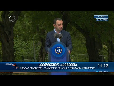 საარჩევნო კამპანია