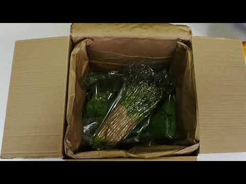🎬 Video relacionado con cajas isotérmicas