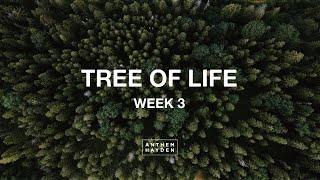 Anthem Hayden // Tree of Life Week 3 // January 22