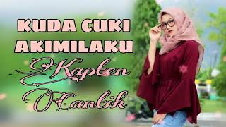 Download lagu DJ AKIMILAKU TERBARU 2018