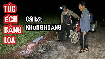 TÚC ẾCH BẰNG LOA • 1 Đêm Trúng Đậm Hơn 10Kg Ếch Đồng • Frog