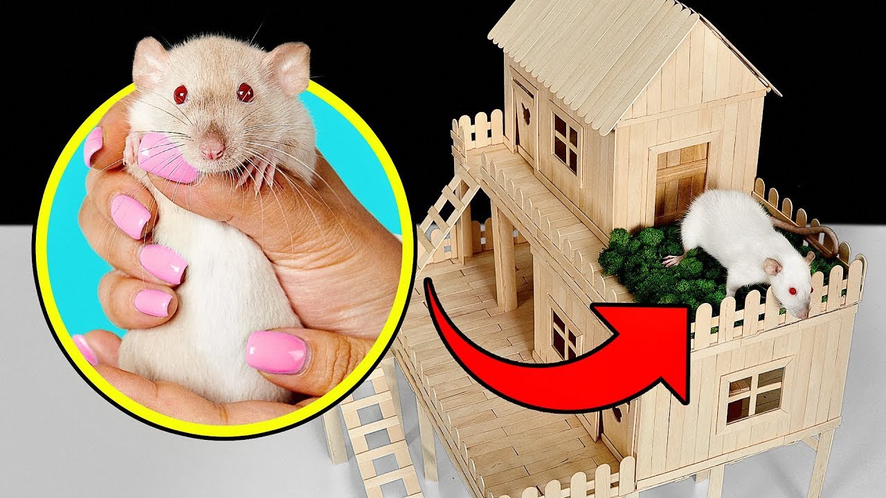 ⁣How to Make Popsicle Stick House for Rat