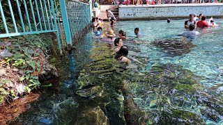 Manantial ojo de agua🌊 la ollaga magdalena Tlacotepec Oaxaca México 🌳🌎