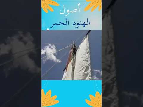 أصول الهنود الحمر